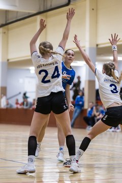 Bild 115 - wBJ TSV Ellerau - HSG Kalkberg : Ergebnis: 30:19